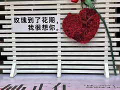-万科生活广场(东莞松山湖店)
