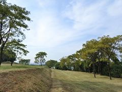 -盘龙城国家考古遗址公园