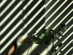 -中青旅遨游旅行旗舰店