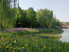 -皇粮浜公园