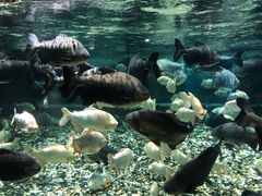 -成都浩海立方海洋公园