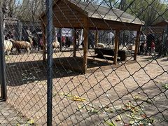 -长白岛森林公园