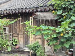 -春风习习