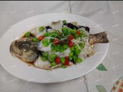 -天鹅到家·保姆月嫂育儿嫂(天河店)