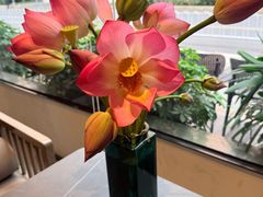 -俏立方·15年新楚菜