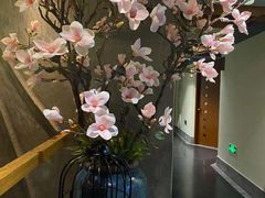 -新盈光·旗舰店(海曙苍松路店)