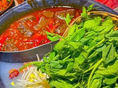 -阳阳老火锅(小南门店)