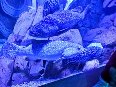 -波塞冬旅游度假区