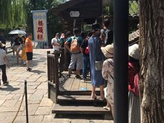 -步步高桥头糕