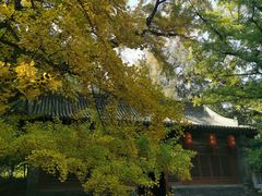 -晋祠公园