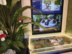 -芸山季·云南山珍菌火锅(南翔印象城MEGA店)