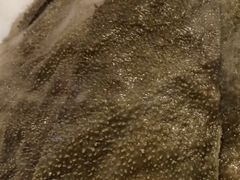 -满堂欢豆捞坊(美丽华大酒店店)