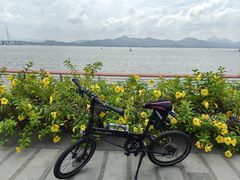 -深圳湾公园(南山区)