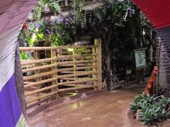 -正佳雨林生态植物园