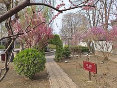 -荣国府