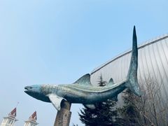 -烟台海昌鲸鲨海洋公园