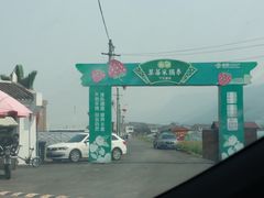 -尚田草莓姑娘白草莓采摘基地