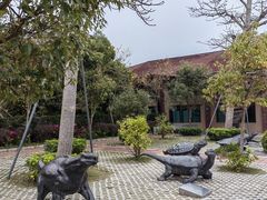 -广东惠东海龟国家级自然保护区