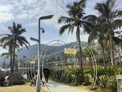 -大梅沙海滨公园