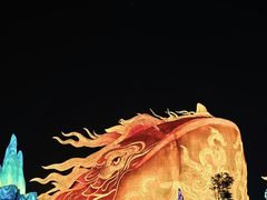 -淄博花灯齐彩城