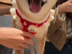 -喜茶(深圳喜荟城店)