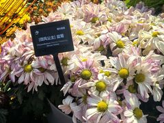 -上海植物园-4号门售票处