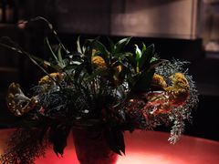 -毛辣果·酸(OHA复兴西路店)