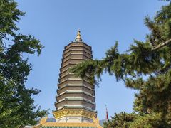 -八大处公园