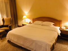 -南京维景国际大酒店(南京博物院店)