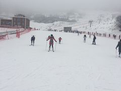 -太子岭滑雪场