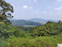 -广州市帽峰山景区
