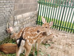 -清风小镇闯关东影视基地