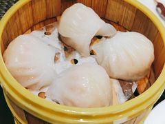水晶虾饺-博悦茶餐厅(文殊院店)