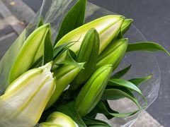 -Golden Lily河内巴黎法越料理餐厅(建国西路店)