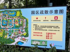 -广州长隆飞鸟乐园
