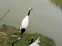 -无锡动物园·太湖欢乐园
