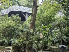 -成都市活水公园