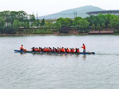 -羊山湖公园