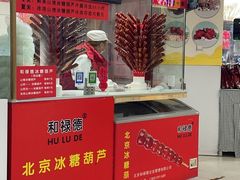 -和禄德冰糖葫芦