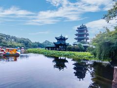 -桂湖森林公园