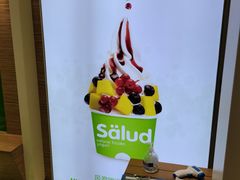 -Salud撒露欧洲冻酸奶(蓝色港湾店)