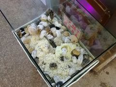 -双季花艺园艺市场(浦东店)