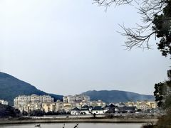 -外蒲山
