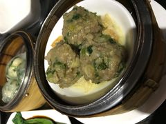 -糖朝(尖沙咀店)