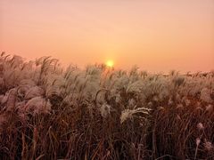 -盘龙城国家考古遗址公园