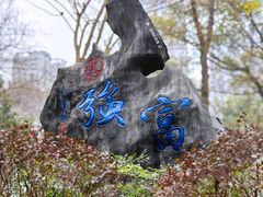-重庆彩云湖湿地公园