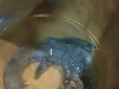-富正毅三下锅连锁(三店)