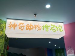 -神奇动物撸宠馆·羊驼·小浣熊·异宠(豫园店)
