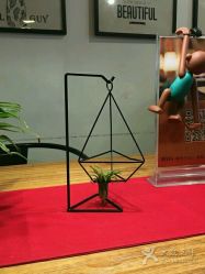 点击看大图 -TSO 慕尚·微潮派