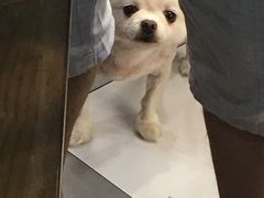 -一杯绿豆汤(柏庐广场店)